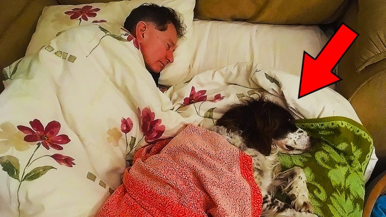 This man sleep in bed with his dog, but dog suddenly did something unexpected